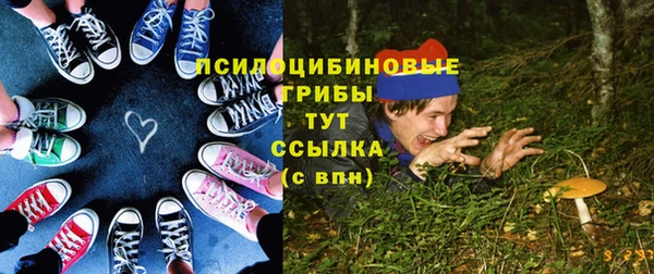 ECSTASY Гусь-Хрустальный