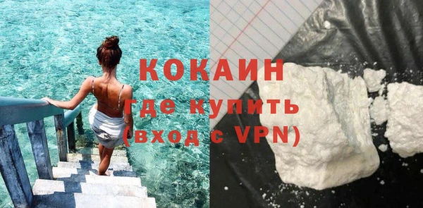 ECSTASY Гусь-Хрустальный