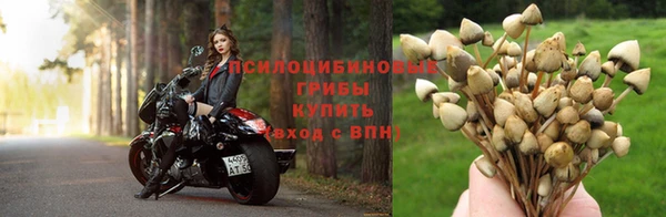спиды Гусиноозёрск