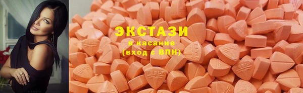 ECSTASY Гусь-Хрустальный