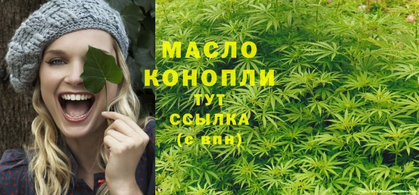 ECSTASY Гусь-Хрустальный