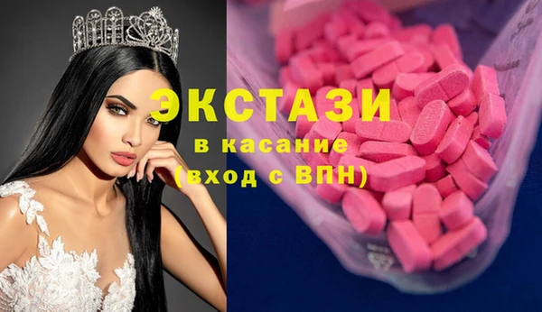 ECSTASY Гусь-Хрустальный