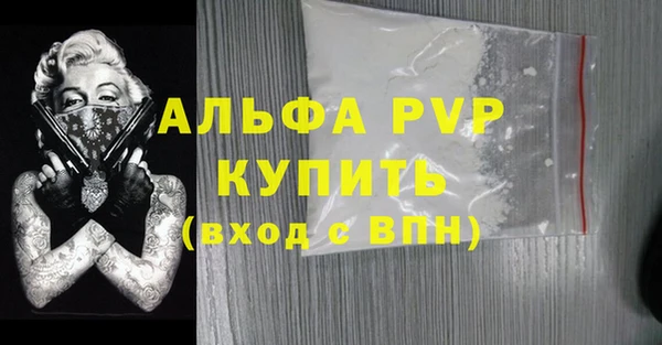 ECSTASY Гусь-Хрустальный