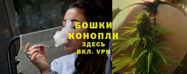 ECSTASY Гусь-Хрустальный