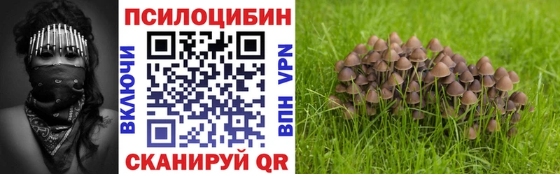 Галлюциногенные грибы прущие грибы Сланцы